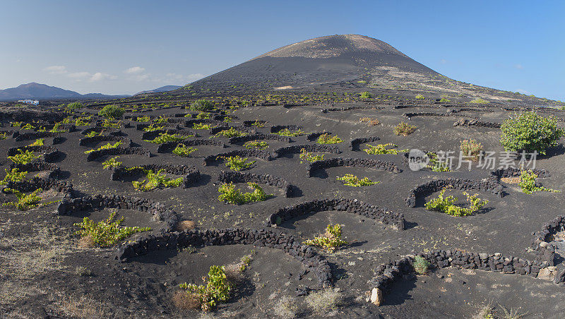 La Geria火山葡萄酒谷